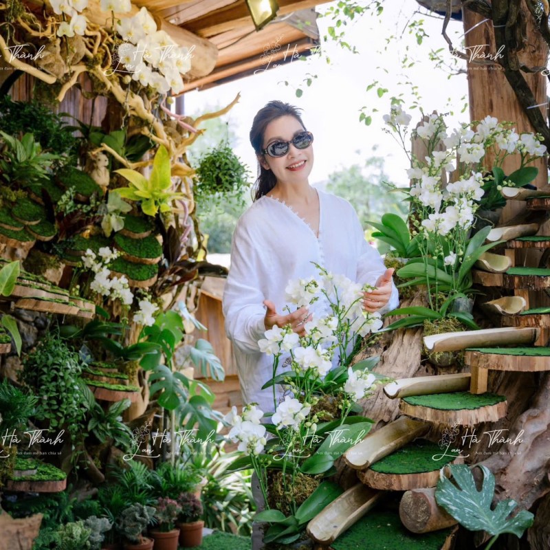 Khoe sắc thắm cùng Lan Hồ Điệp Trắng